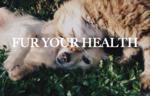 How pets improve health